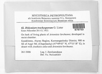 Image Associated With the Occurrence